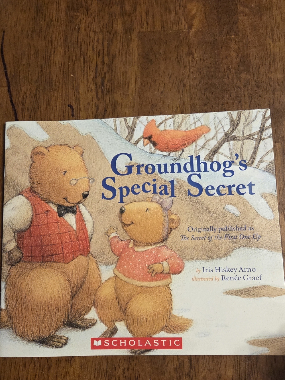 📕5/$10📕Scholastic Groundhog's Special Secret Picture Book Brown, Red, Blue